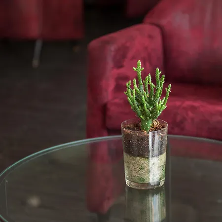 Otel Rali Viana Viana do Castelo