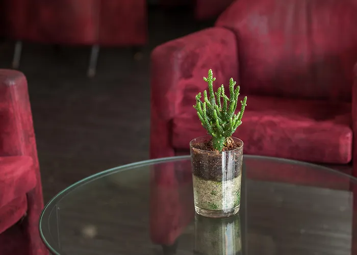 Hotel Rali Viana Viana do Castelo